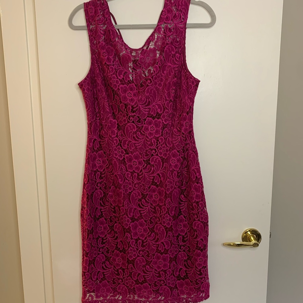 Le Chateau Pink Silk and Lace Dress